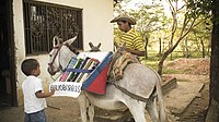 Colombia - 2006 Biblioburro