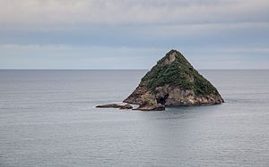 Moturoa Island
