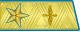 1955年－1974年苏联空军元帅礼服肩章