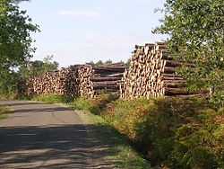 马尔桑地区的一条道路旁的木堆