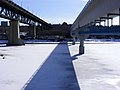 High Level Bridge and Dudley B. Menzies Bridge from the north bank, Winter 2009