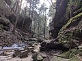 Looking downstream from the head of the gorge