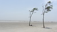 White Sand Beach in Bakkhali