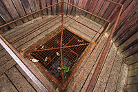 Access to German counter-mining shaft – Bayernwald trenches, Croonaert Wood, Ypres Salient