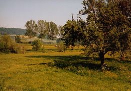 Countryside around Domrémy-la-Pucelle