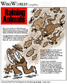 Raining animals