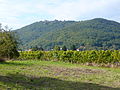 The Rothenberg mit Madenburg (eastern Wasgau)