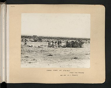 Camel corps at Jidali.