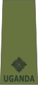 Second lieutenant (Ugandan Land Forces)[40]