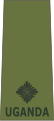 Second lieutenant (Ugandan Land Forces)[41]