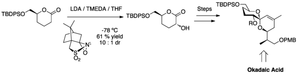 Alpha hydroxylation highlighted in the synthesis of Okadaic Acid