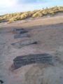 Old World War II anti-tank defences. Now buried by time and sand.
