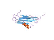 2npl: NMR Structure of CARD d2 Domain