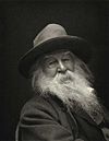 Walt Whitman is one of the most famous American poets