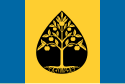 Flag of Kapotnya District