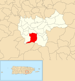 Location of Jájome Bajo within the municipality of Cayey shown in red