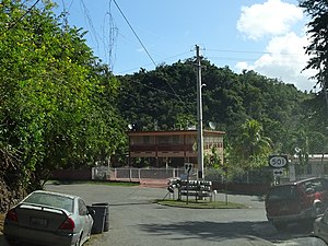 PR-502 south at PR-501 junction in Barrio Marueño