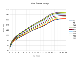 Male Stature vs Age (US CDC)