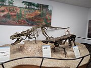 Two more skeletal remains of Triassic Period dinosaurs found in the Petrified Forest National Park