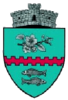 Coat of arms of Bunești