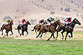 Image 9 Horse racing Credit: Fir0002 Horses race on grass at the 2006 Tambo Valley Races in Swifts Creek, Victoria, Australia. Horseracing is the third most popular spectator sport in Australia, behind Australian rules football and rugby league, with almost 2 million admissions to the 379 racecourses throughout Australia in 2002–03. More selected pictures