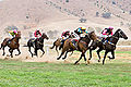 Horseracing in Australia