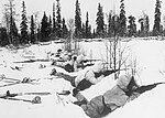 芬兰滑雪部队于北芬兰作战之情景，摄于1940年1月12日。