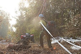 Prineville Hotshot Beth Daubson Pulls Hose Uphill.