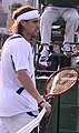 David Ferrer, Spain (16th seed)