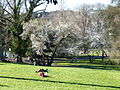 Villa Borghese in winter