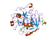 1ypg: Thrombin Inhibitor Complex