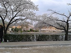 鸢哗池