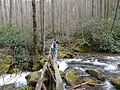 Bridge Crossing Jake's Creek below