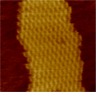 Atomic force micrograph of a DX array for DNA nanotechnology