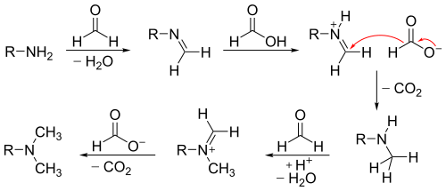 The mechanism of the Eschweiler–Clark reaction