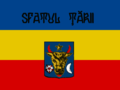 Flag of Sfatul Tarii.png