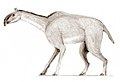 Macrauchenia