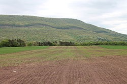 Catawissa Mountain in Catawissa Township