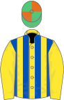 Yellow and royal blue stripes,yellow sleeves,emerald green and orange quartered cap