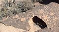 Petroglyphs on a Bishop Tuff tableland, eastern California