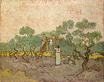 Women Picking Olives December 1889 72.4×89.9 Metropolitan Museum of Art, New York (F655)