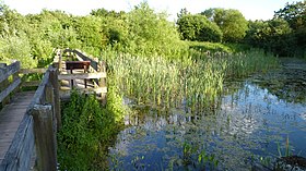 Bridge over pond at Winnersh Meadows