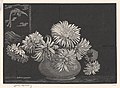 Lionel Lindsay (1937) Asters, wood engraving, 10.2 × 14.5 cm (block). National Gallery of Victoria