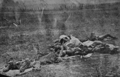 Dead on Antietam battlefield[98]