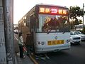 台中市公车229路