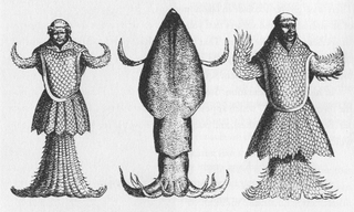 #1 (c. 1546) Japetus Steenstrup's comparison of a common squid (centre; its tentacles in an anatomically implausible position) with two 16th century drawings of the "sea monk of the Øresund"—Guillaume Rondelet's (1554:492, fig.) on the left and Pierre Belon's (1553:39, fig.) on the right (Steenstrup, 1855a:83, fig.). It has been noted that Steenstrup's reproductions differ somewhat from the 16th century originals.[298]