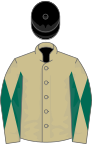 Beige, beige and dark green diabolo on sleeves, black cap