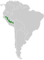 Range of Koepke's Hermit hummingbird (Phaethornis koepckeae)