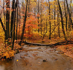 Bushkill Creek in Plainfield Township in October 2010