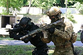 波兰武装力量行动应变及机动组